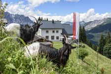 Aussen Sommer